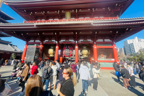 Tokyo Private Luxury City Tour with Professional Guide