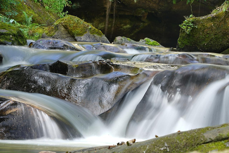 from Bangkok: 3-Day Khao Yai National Park Guided Tour Private: Hotel in Central Bangkok/Suvarnabhumi/Don Mueang