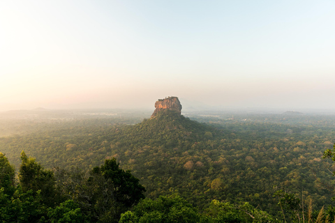 Habarana: Polonnaruwa, Sigiriya and dambulla day tour