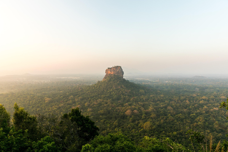 Habarana : Polonnaruwa, Sigiriya et Dambulla (excursion d&#039;une journée)