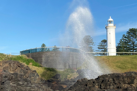 Sydney Secret Coastline: Kiama Blowhole, Wollongong Wildlife Shared Tour, Meet at Furama Darling Harbour