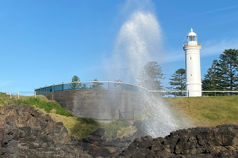 Sydney Secret Coastline: Kiama Blowhole, Wollongong Wildlife Shared Tour, Meet at Furama Darling Harbour