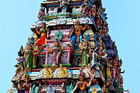 Colombo Luxury High Tea Day Tour From Negombo All-Inclusive