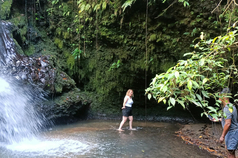 特特巴图：瀑布、香料、梯田、猴子森林特特巴图之旅、香料、瀑布、梯田、猴林