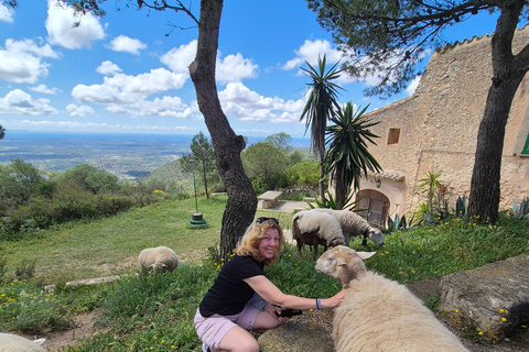 Mallorca: Self Drive 4x4 Jeepsafari Tour