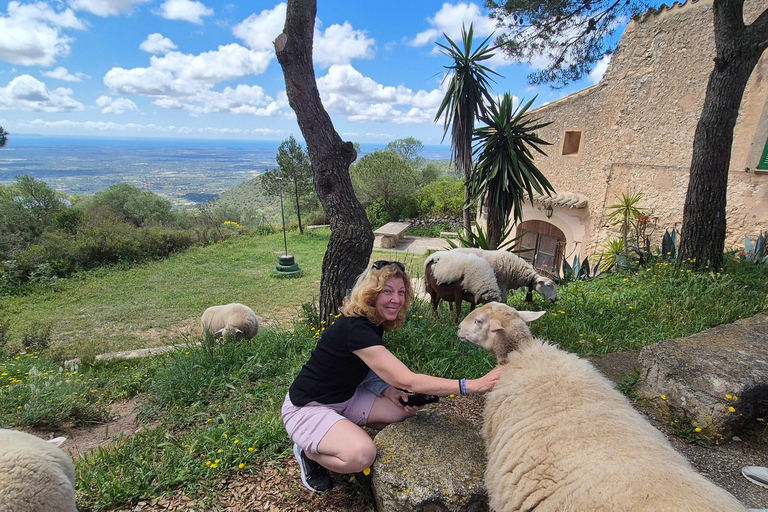 Mallorca: Self Drive 4x4 Jeepsafari Tour
