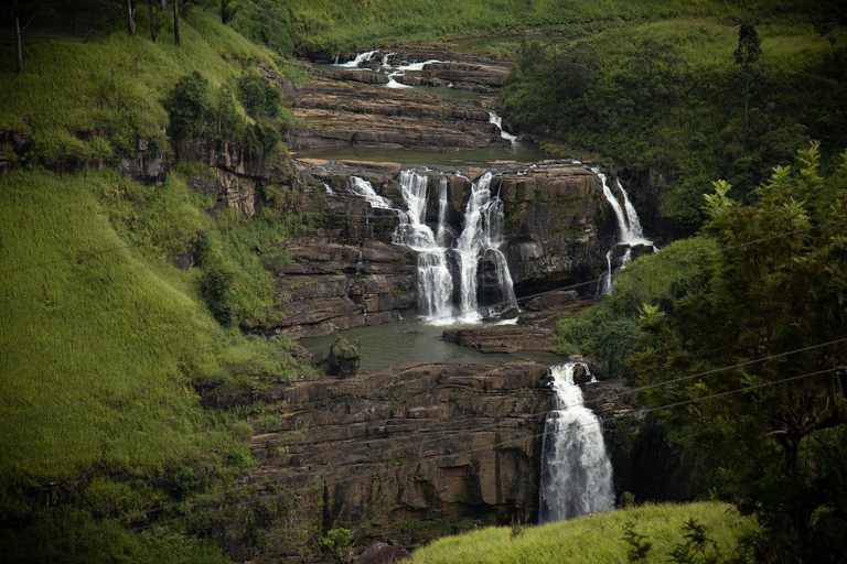 8-Day Sri Lanka Private Tour with Hotels, Train Ride &Safari