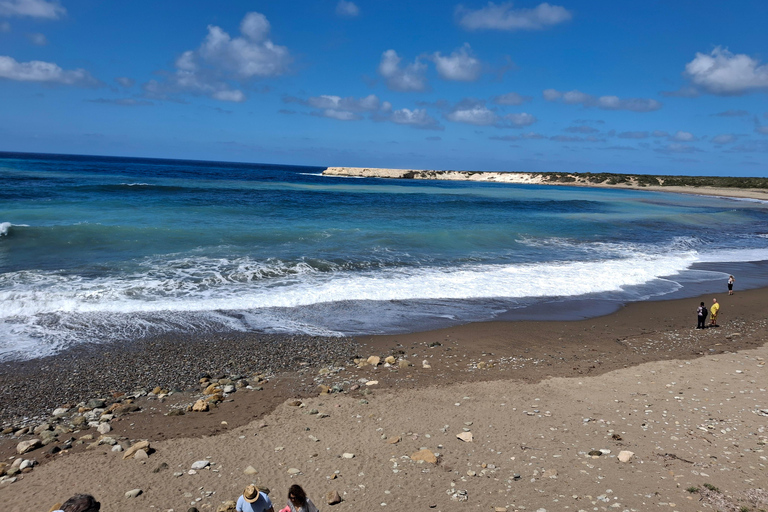 “Paphos Private Tour: Akamas, Avakas, Turtle Bay & Winery”