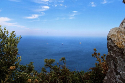 Excursión en tierra en Gibraltar: el tour original por el Peñón y las cuevas