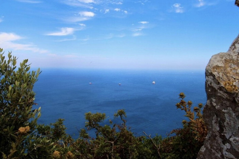Excursión en tierra en Gibraltar: el tour original por el Peñón y las cuevas