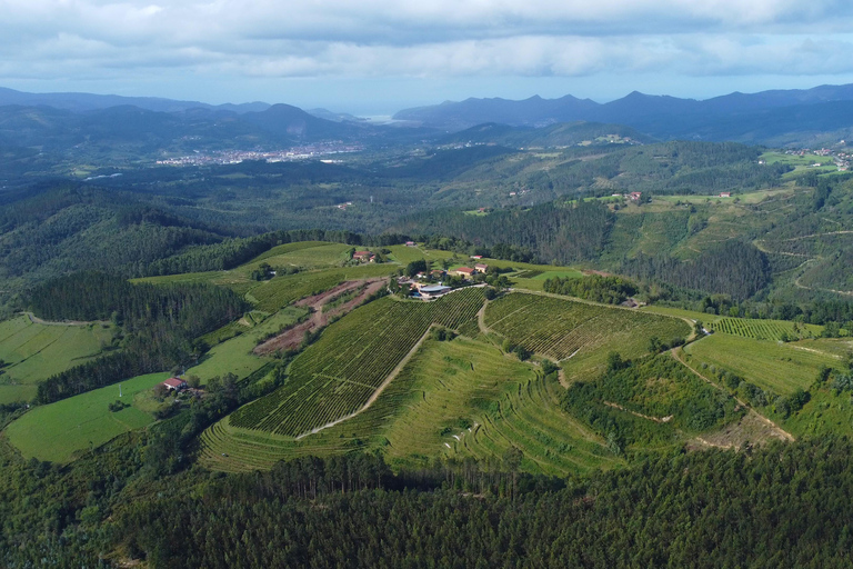 Gernika: Vineyard, Winery Tour, Txakolis & Basque Pairings