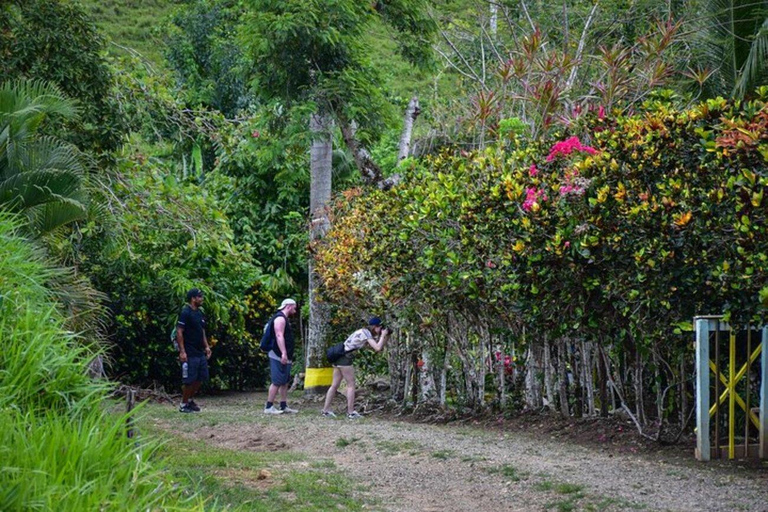 Private: Anamuya Mountain Walking Tour
