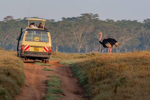 Excursion d'une journée au lac Nakuru et tour en bateau à Naivasha