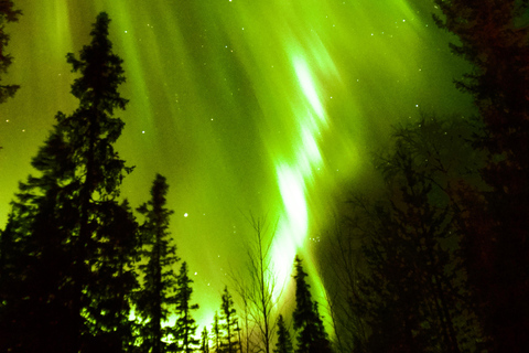 Levi Northern Lights Experience