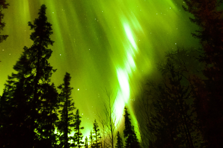 Levi Northern Lights Experience