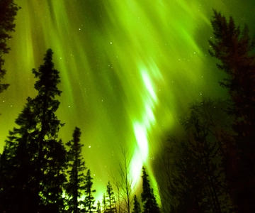Levi Northern Lights Experience