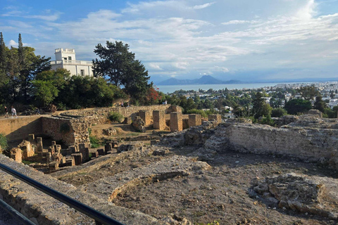 Tunis, Carthage & Bardo Museum: A Journey Through History From Mahdia