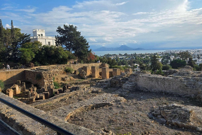 Tunis, Carthage & Bardo Museum: A Journey Through History From Mahdia