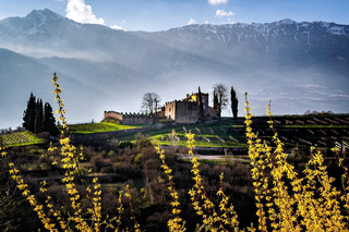 Degustações de vinhos em Trento