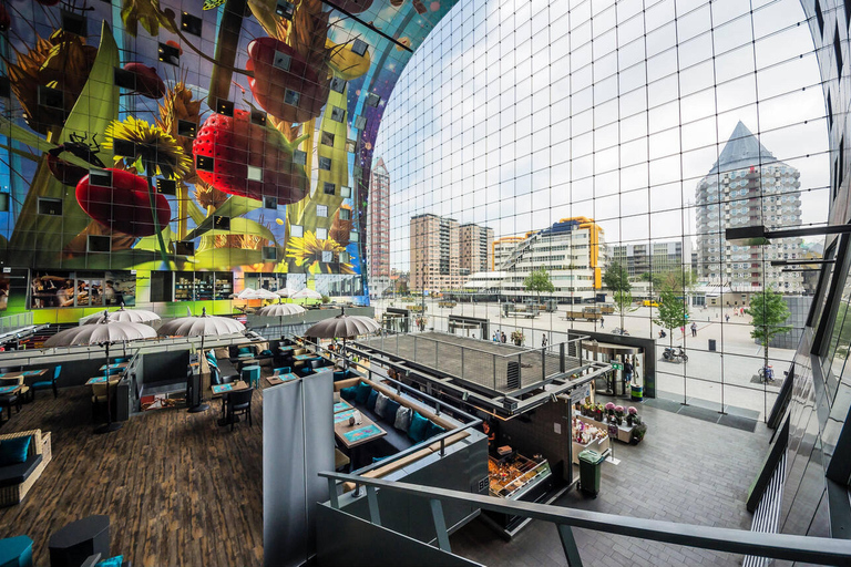 Rotterdam &amp; Haarlem: Private Full-Day Tour from Amsterdam