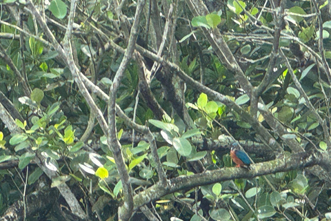 Bentota/Beruwala: Galle Fort, Koggala Lake & Kayaking Tour