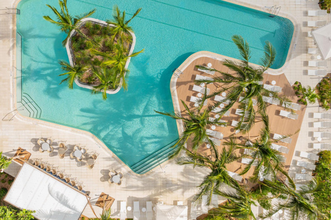 Miami: Gale Miami Hotel and Residences Pool Day Pass