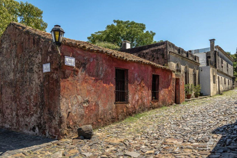 Colonia del Sacramento: Sightseeing Walking Tour & Traditional Tannat Wine Tasting