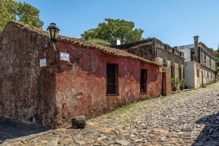 Colonia del Sacramento: Sightseeing Walking Tour & Traditional Tannat Wine Tasting
