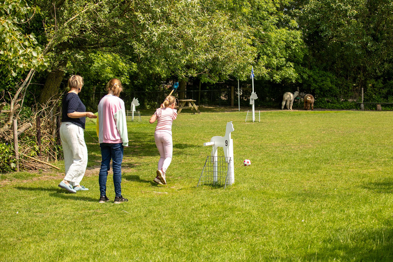 Zeeland: Alpaca Farm Visit with Alpacagolf & Meet and Feed