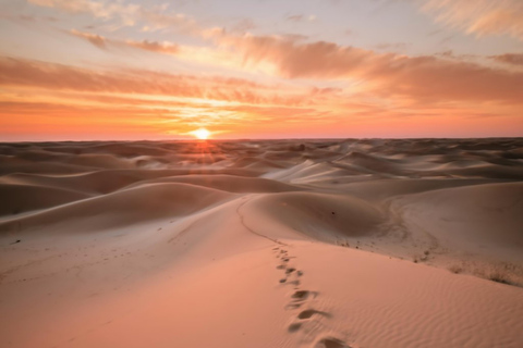 Doha Katar: Wüstensafari Tour. Wüstenabenteuer