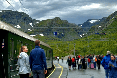 Oslo: 1-Day Tour to Flam with Flam Train & Naerofjord cruise
