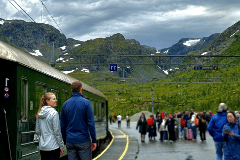 Oslo: 1-Day Tour to Flam with Flam Train & Naerofjord cruise