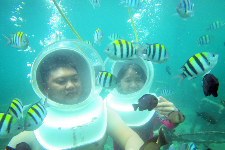 Bali: Sea Walker Under Water Experience Bali: Fish Sighseeing and Feeding Under Water Experience