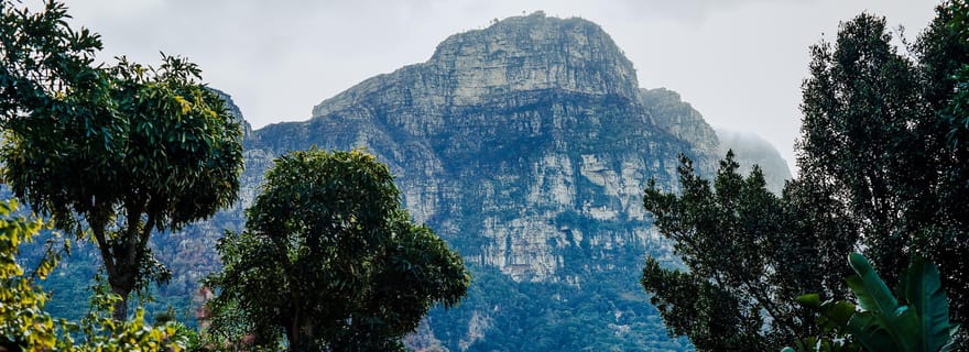 Visite du jardin botanique de Kirstenbosch et de la vallée viticole de Constantia