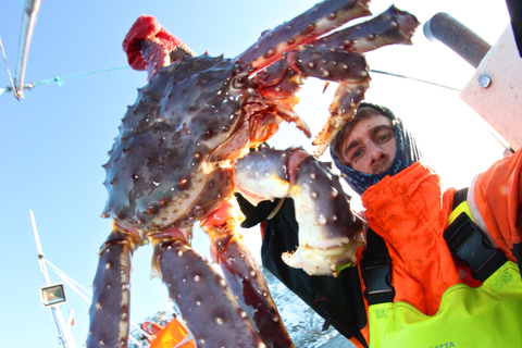 هونينغسفاغ سلطعون ملك شمال كيب الشمالي وسفاري الحياة البرية في القطب الشمالي