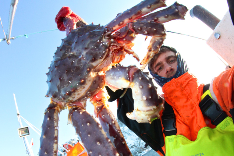 هونينغسفاغ سلطعون ملك شمال كيب الشمالي وسفاري الحياة البرية في القطب الشمالي