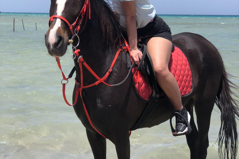 Hurghada: Abenteuerausflug mit Pferden durch die Wüste und zum StrandPrivater Ausritt in Hurghada: Wüste &amp; Strand