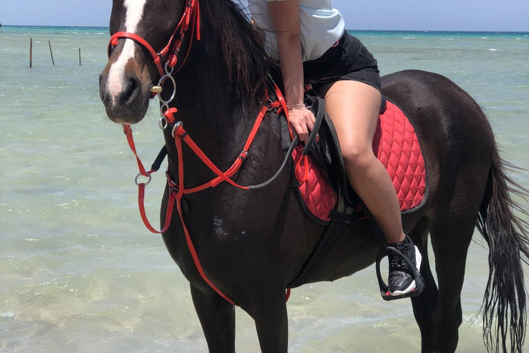 Hurghada: Abenteuerausflug mit Pferden durch die Wüste und zum StrandPrivater Ausritt in Hurghada: Wüste &amp; Strand