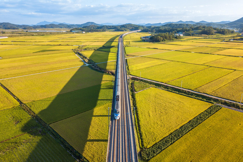 Seoul/Busan: Seamless KTX Gyeongju UNESCO Heritage Tour Busan ↔ Gyeongju (SRT/KTX)