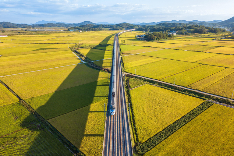 Seoul/Busan: Seamless KTX Gyeongju UNESCO Heritage Tour Busan ↔ Gyeongju (SRT/KTX)