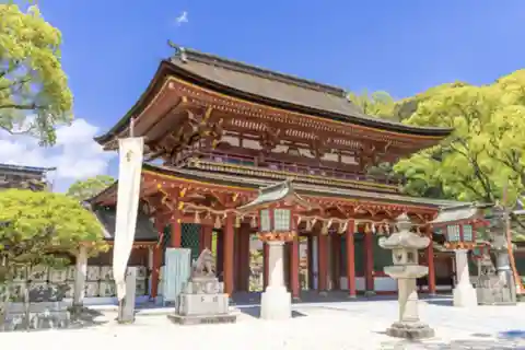 Fukuoka Private Custom Tour with Local Guide
