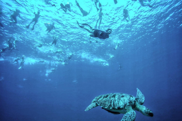 Snorkelen op de Gili eilanden dagvullende tourSnorkelen op Gili Trawangan, Gili Meno, Gili Air