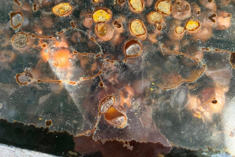 Melaka: Potai Farmstay 2-Day Minangkabau Culture Tour