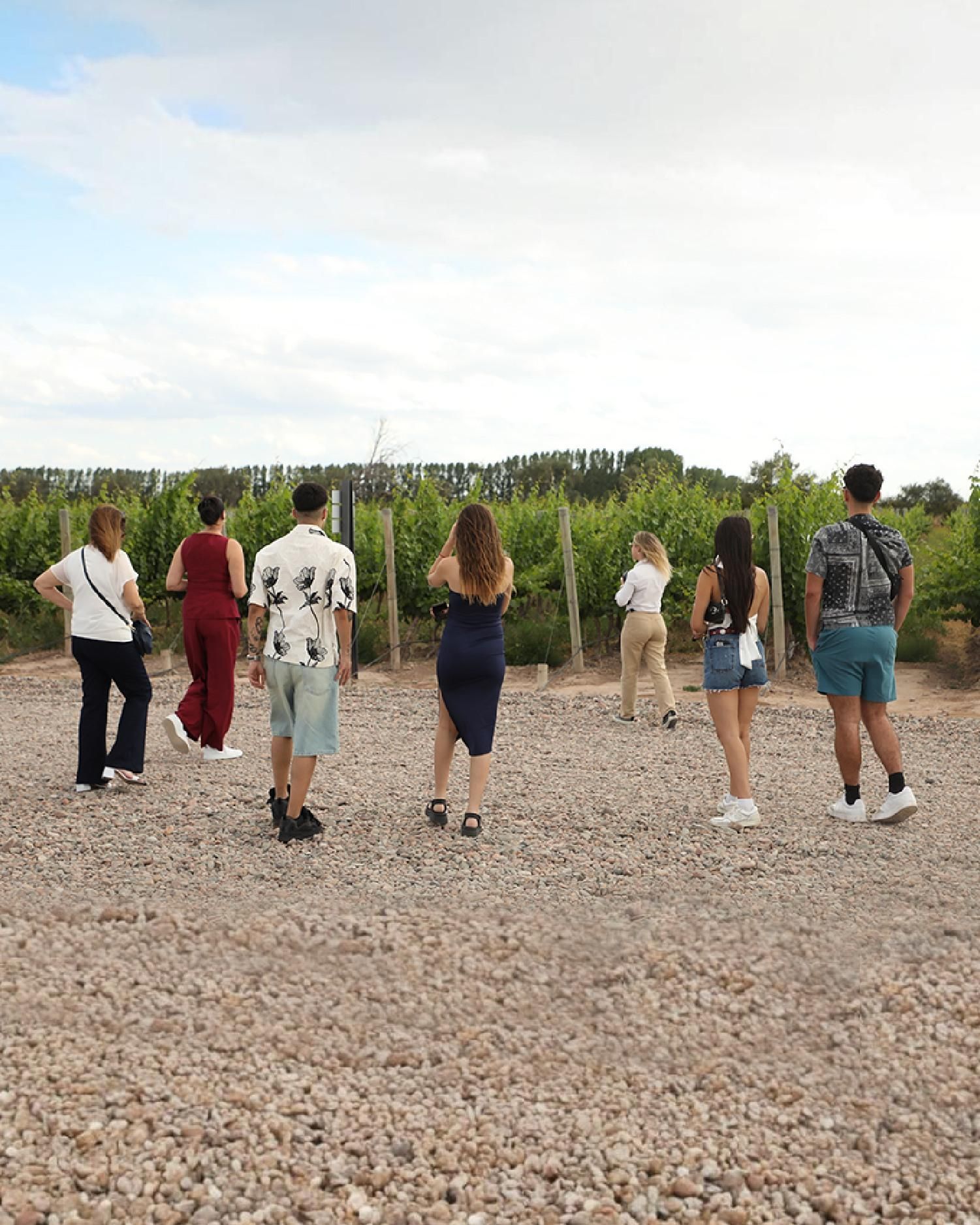 Ganztägige Weintour mit Mittagessen und privatem Transfer