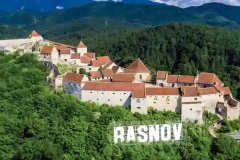 De Bucareste: Santuário dos Ursos e Fortaleza de Rasnov Tour particular