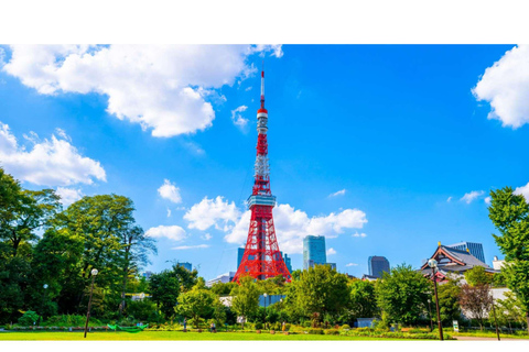 Tokyo: Private Luxury Tokyo City Tour With Driver & Guide Tokyo Private City Tour