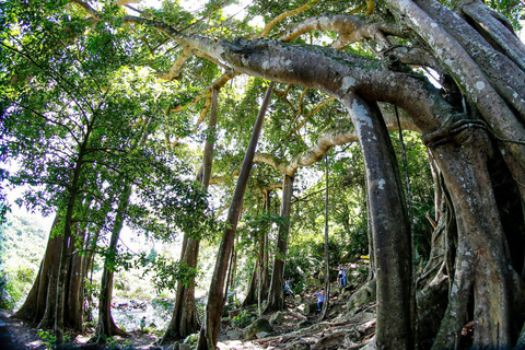 Da Nang: Ilha dos Macacos, mergulho com snorkel e parapente