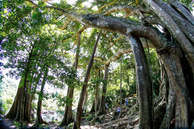 Da Nang: Ilha dos Macacos, mergulho com snorkel e parapente