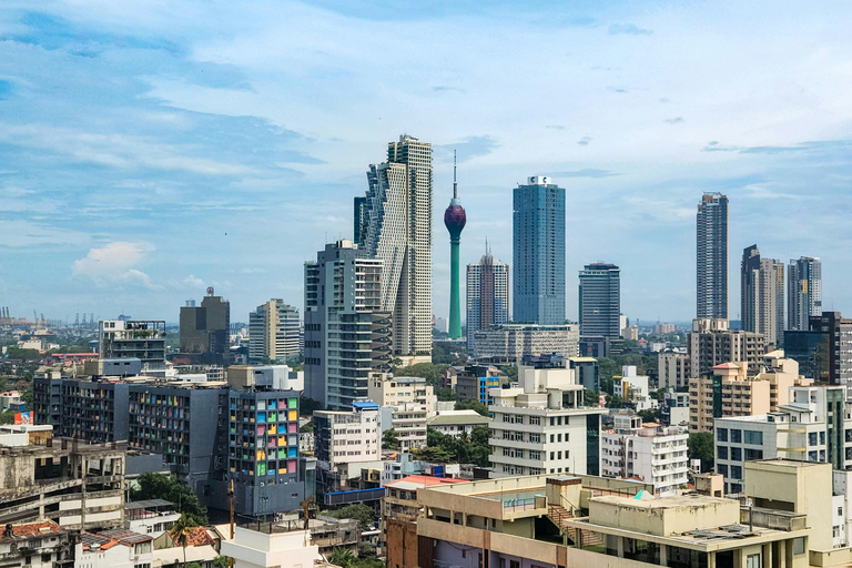 Negombo &amp; Colombo: Ganztägige Tour mit Mittagessen