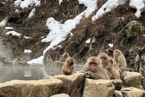 Tokyo: Mount Fuji Nagano Nikko - Guided Tour